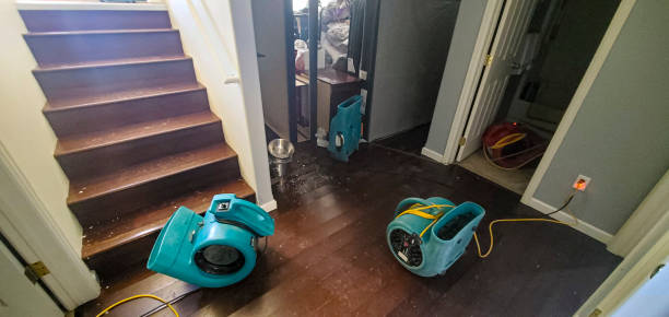 Best 24-hour water damage restoration  in Northumberland, PA