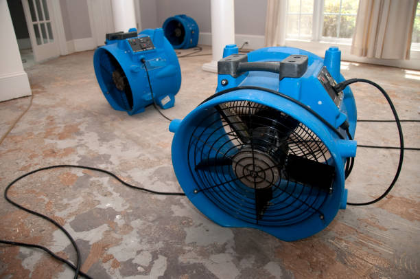 Best Water damage mitigation services  in Northumberland, PA
