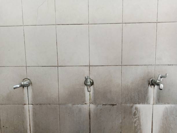 Best 24/7 water damage repair  in Northumberland, PA