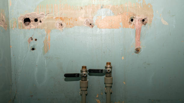 Best Mold removal after water damage  in Northumberland, PA