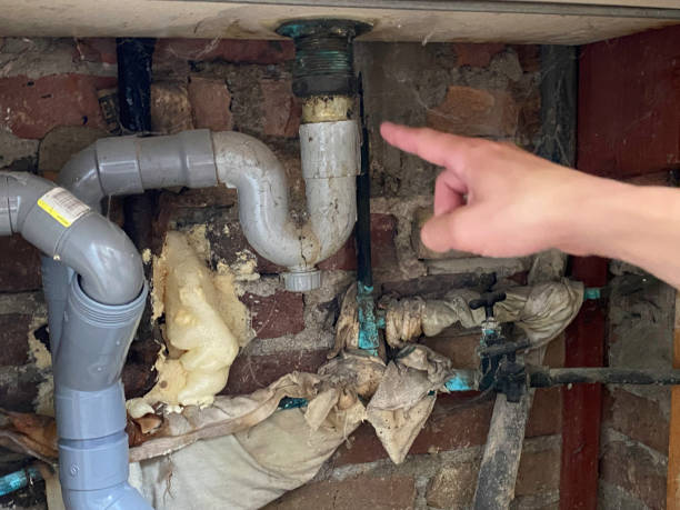 Best Sewage cleanup and water damage restoration  in Northumberland, PA